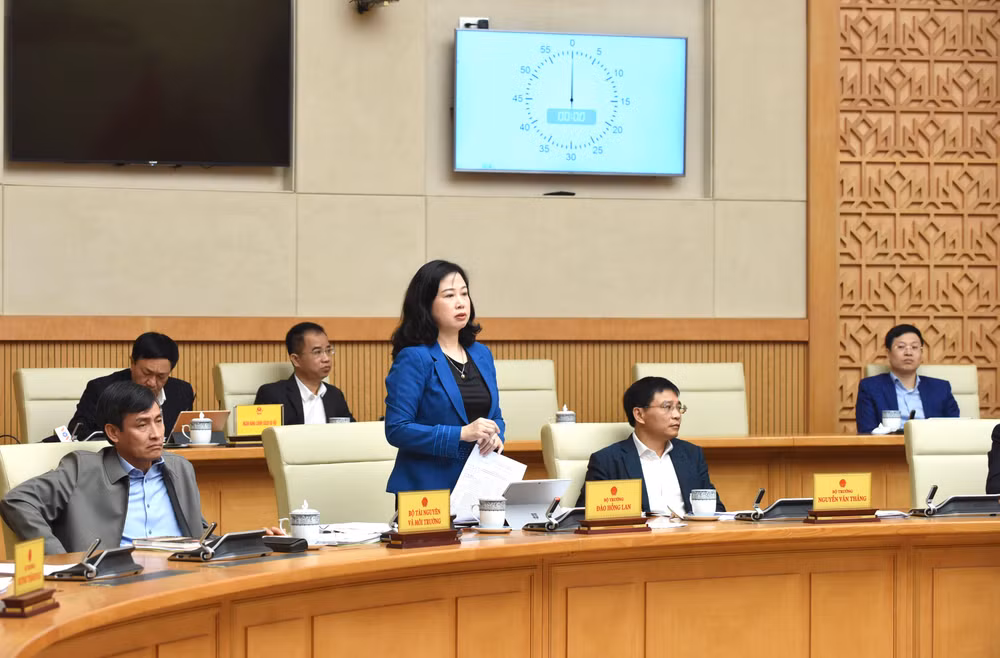 Bộ trưởng Y tế Đào Hồng Lan phát biểu.