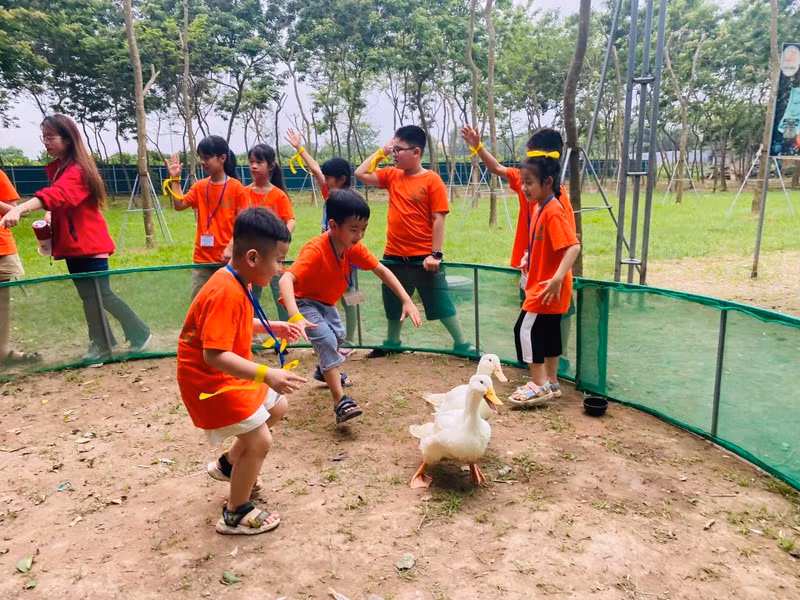 Các em nhỏ tham gia hoạt động trải nghiệm tại Phù Đổng Green Park (huyện Gia Lâm).