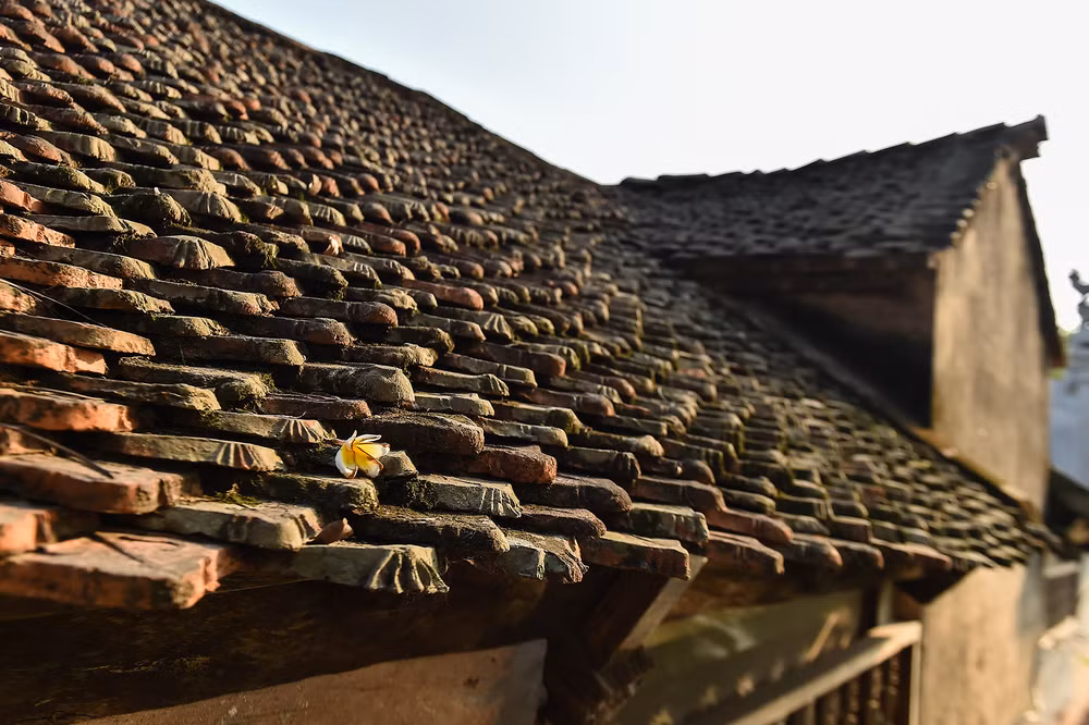 Cầu Khum mang một nét đẹp đặc trưng của vùng nông thôn của Đồng bằng Bắc Bộ với phần mái ngói được lợp vẩy cá. Cầu Khum mang một nét đẹp đặc trưng của vùng nông thôn của Đồng bằng Bắc Bộ với phần mái ngói được lợp vẩy cá.