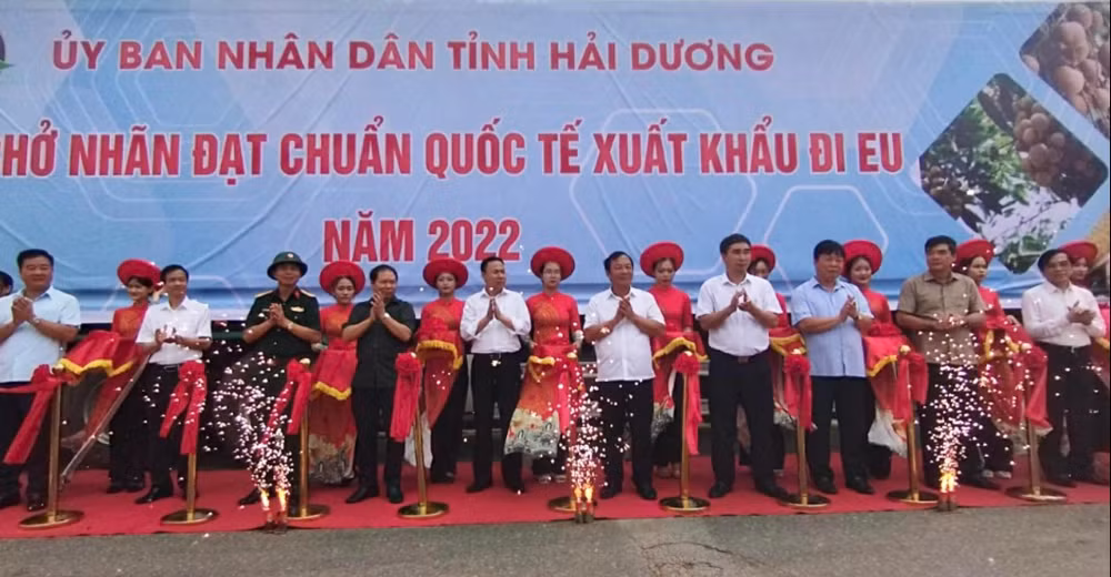 Cắt băng xuất khẩu 3 tấn nhãn đầu tiên. 