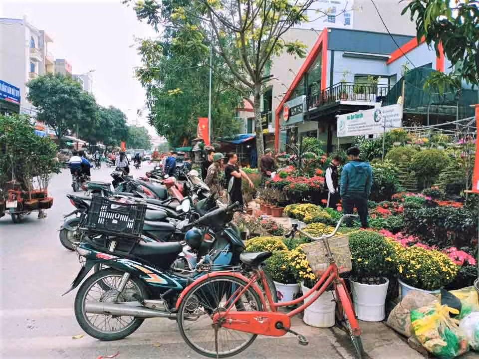 Hoa Tết trước chợ.