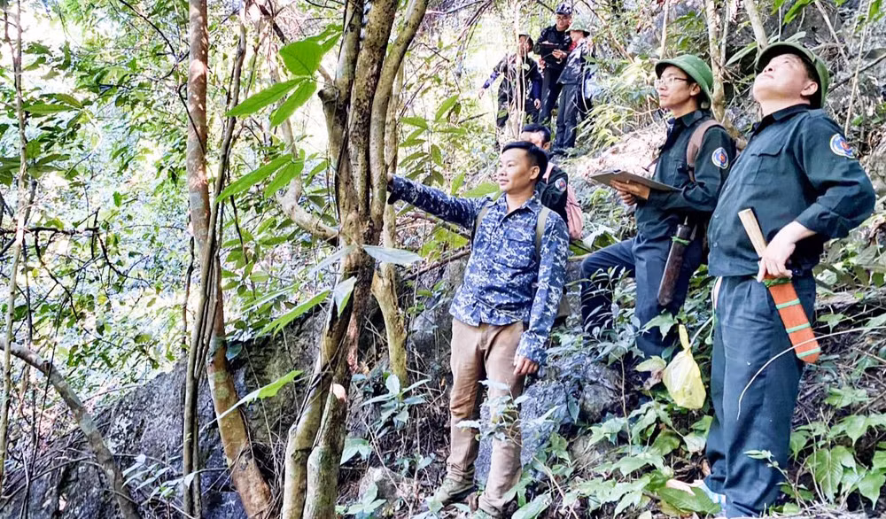 Năm 2022, Ban Quản lý đặc dụng, phòng hộ tỉnh Thái Nguyên thực hiện 583 buổi với hơn 2000 lượt người tham gia tuần tra Khu dự trữ thiên nhiên Thần Sa-Phượng Hoàng.