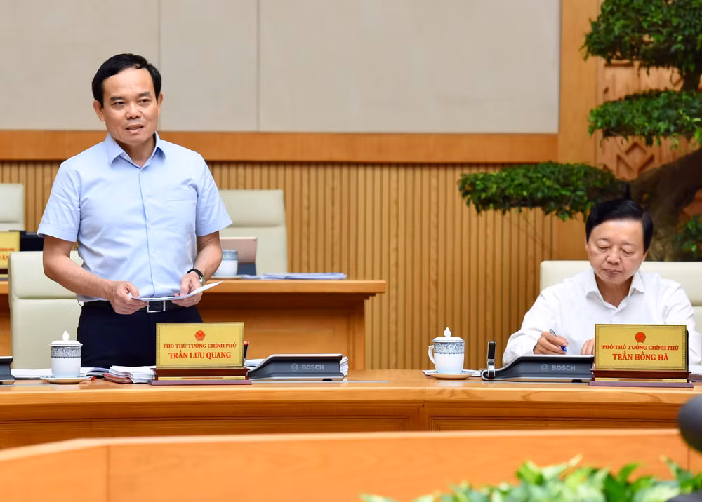 Phó Thủ tướng Trần Lưu Quang phát biểu.