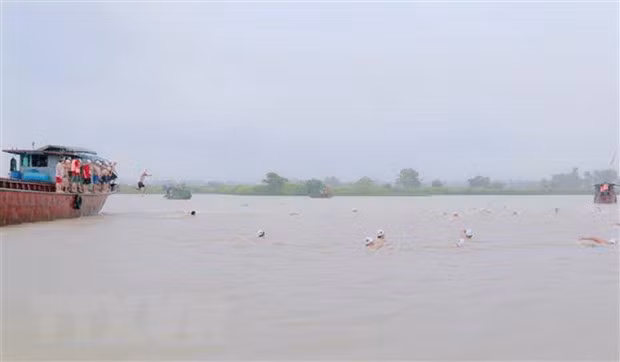 Hội Bơi vượt sông Bạch Đằng trên sông Cầm (thị xã Đông Triều, Quảng Ninh) diễn ra trong bối cảnh trời mưa khá to, nước đục và chảy xiết. (Ảnh: TTXVN phát)