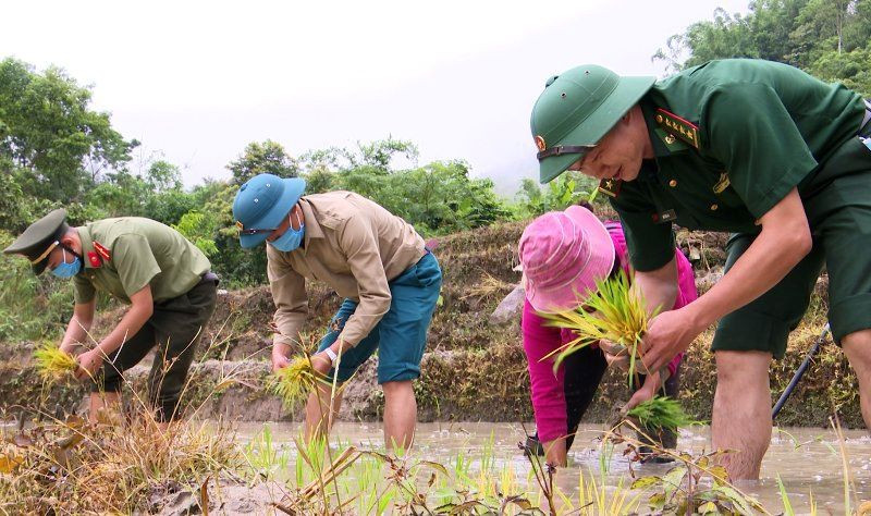 Hơ Văn Xá cùng lực lượng vũ trang ở huyện Mường Lát cấy lúa giúp dân.