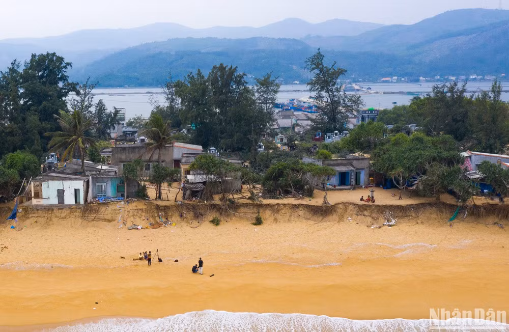 Bờ biển dọc theo tổ dân phố Thạnh Đức 1, phường Phổ Thạnh, thị xã Đức Phổ bị sạt lở hàng trăm mét.