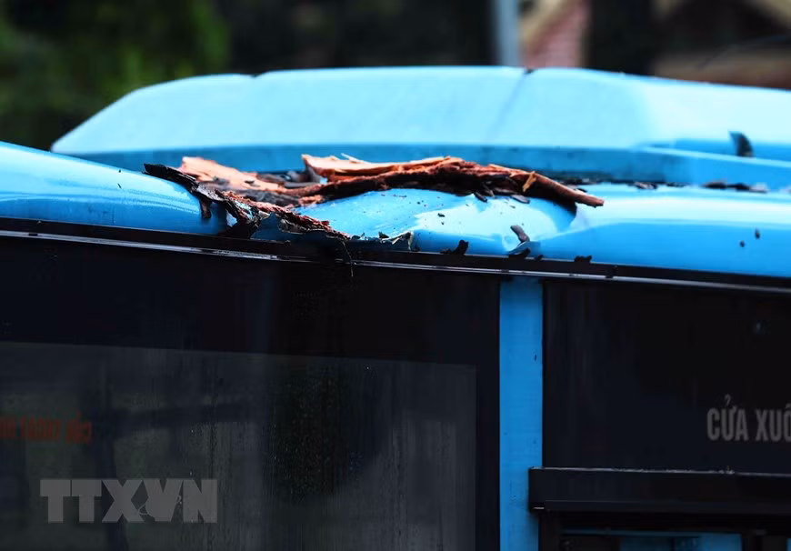 Xe buýt bị hư hỏng nhẹ sau sự cố cây xanh đổ vào.