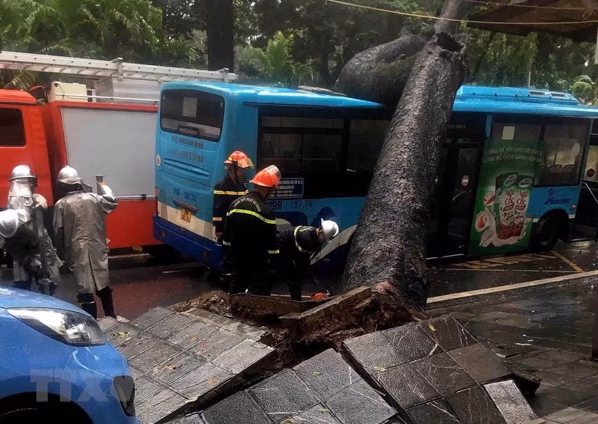 Hiện trường vụ việc.