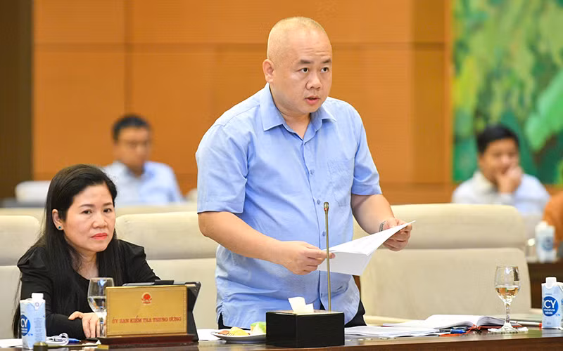 Thứ trưởng Kế hoạch và Đầu tư Đỗ Thành Trung trình bày báo cáo tại phiên họp. (Ảnh: Duy Linh)