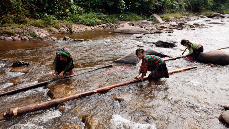 Học sinh đi lấy củi, đi bắt cá cải thiện bữa ăn sau giờ học cũng chẳng hiếm đối với những bản vùng khó cách đây hơn chục năm (trong ảnh học sinh trường Nậm Ngà xã Tà Tổng đi lấy củi sau giờ học).