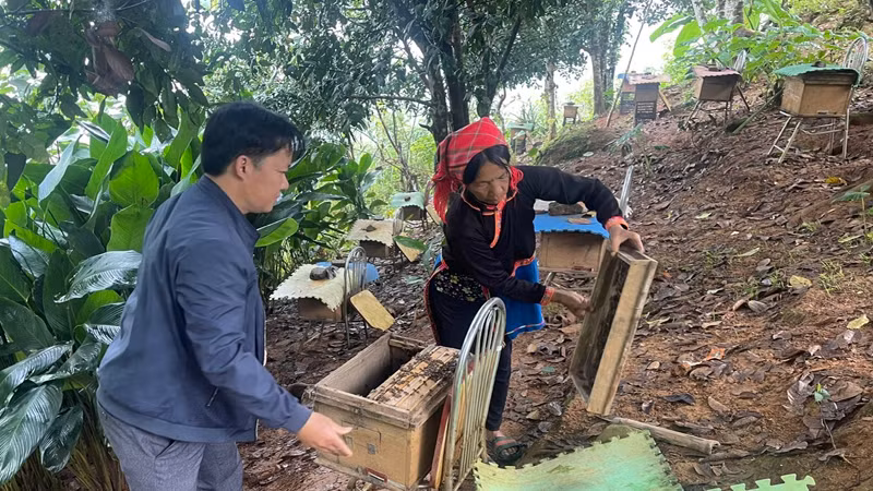 Từ tiền chi trả dịch vụ môi trường rừng, gia đình bà Pờ Lò Xó đầu tư vào chăn nuôi và vươn lên thoát nghèo.