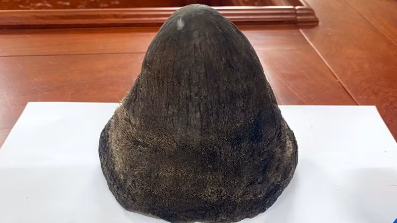 Tang vật của vụ án.