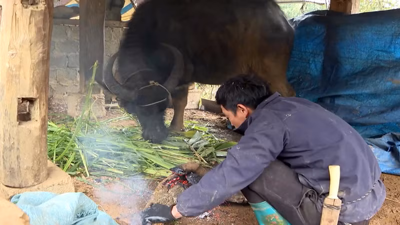 Nhiều hộ dân còn đốt lửa để sưởi ấm cho gia súc.