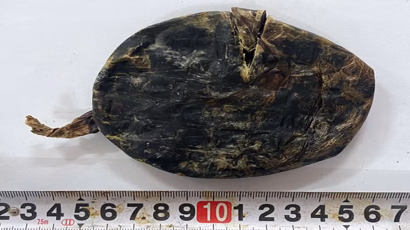 Tang vật của vụ án.