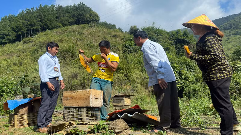 Các mô hình mới từ các chương trình mục tiêu Quốc gia đã đem lại thu nhập và cuộc sống ổn định cho người dân sau khi di chuyển đến nơi ở mới.