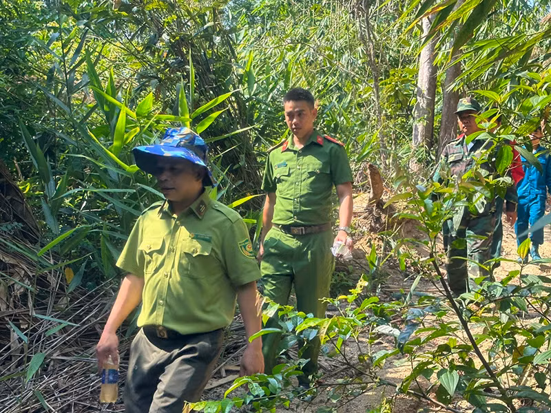 Các lực lượng chức năng huyện Ia H'Drai phối hợp tuần tra truy quét, bảo vệ rừng.