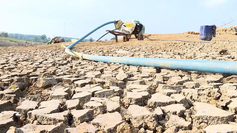 Cạn nước, đáy lòng hồ thủy lợi trơ ra những vết nứt nẻ