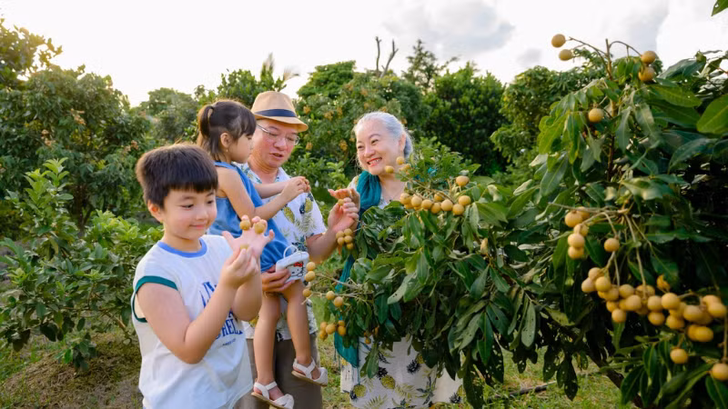 Du khách tham quan khu sinh thái Cantho Eco Resort, thành phố Cần Thơ. (Ảnh: Ngọc HÂN)