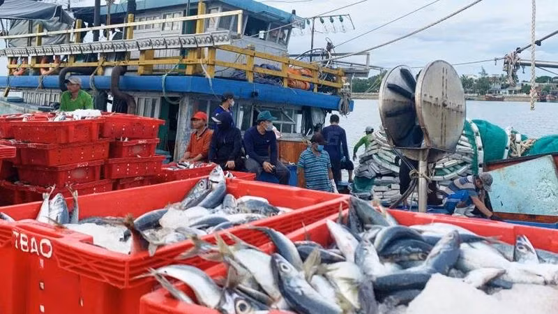 Bộ Nông nghiệp và Phát triển nông thôn đề nghị Ủy ban nhân dân các tỉnh, thành phố ven biển tiếp tục theo dõi sát diễn biến thời tiết và tình hình khai thác hải sản của ngư dân trên các vùng biển để kịp thời hỗ trợ ngư dân yên tâm sản xuất an toàn, hiệu quả.