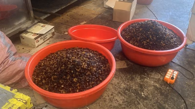 Trộn nho khô có nguồn gốc Ấn Độ để đóng gói thành nho khô có nguồn gốc do Mỹ sản xuất.