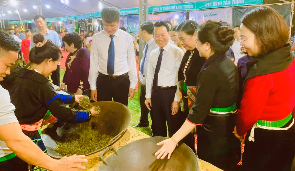 Trình diễn cách chế biến thủ công chè Shan tuyết.