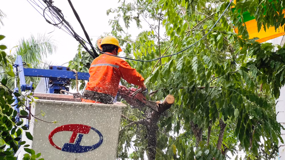 Thu dọn cây xanh ngã đổ vào đường điện ở khu kinh tế Dung Quất, Quảng Ngãi. (Ảnh: Hiển Cừ)