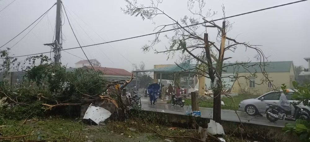 Nhiều cây cối ngã đổ do lốc xoáy.