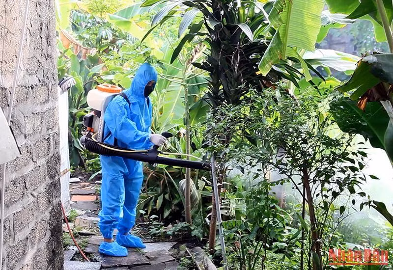 Cán bộ y tế tỉnh Tuyên Quang phun thuốc diệt loăng quăng, bọ gậy.