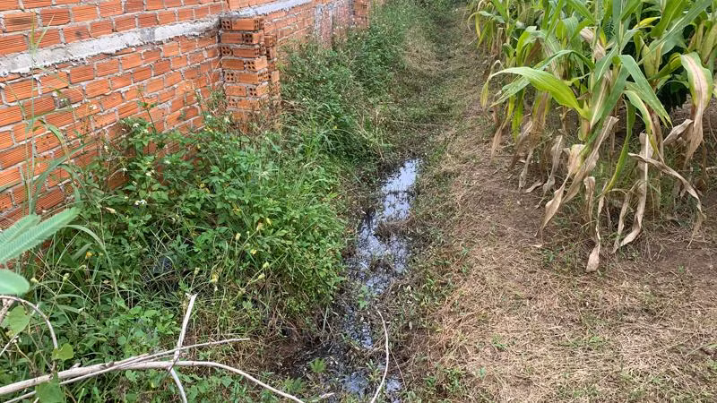 Nước từ trang trại chăn nuôi heo nái thấm ra ngoài tường rào gây ô nhiễm môi trường.