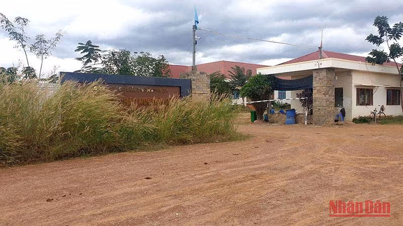 Xí nghiệp chăn nuôi bò sữa, bò thịt công nghệ cao của Công ty cổ phần sữa Thông Thuận gần như bị bỏ hoang không người chăm sóc.