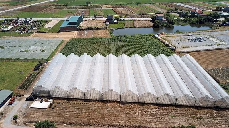 Hệ thống nhà màng, nhà lưới theo hướng nông nghiệp công nghệ cao của chị Nguyễn Thị Trâm, xã Minh Tân, huyện Lương Tài, tỉnh Bắc Ninh.