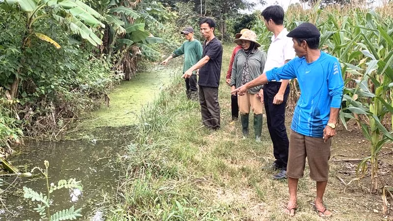 Nước thải từ trang trại chăn nuôi heo nái tràn vào khu vực nương rẫy của người dân ở thôn Tân Lợi 1, xã Ea Uy.