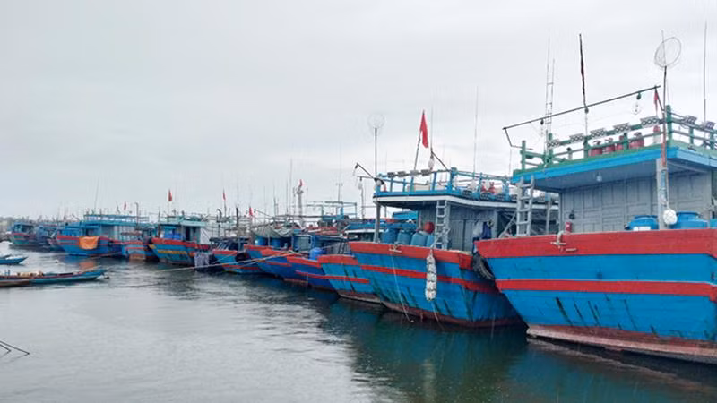 Tàu thuyền di chuyển vào cảng Tam Quang (huyện Núi Thành) tránh bão số 4.