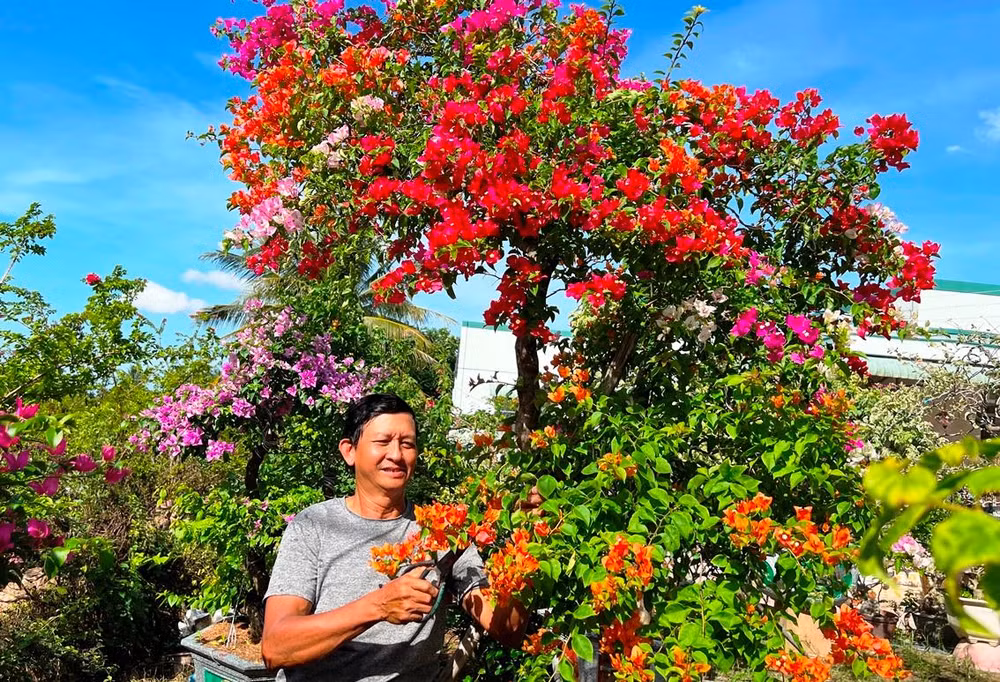 Người dân làng hoa giấy Phú Sơn chuẩn bị sản phẩm hoa giấy để giao cho thương lái.