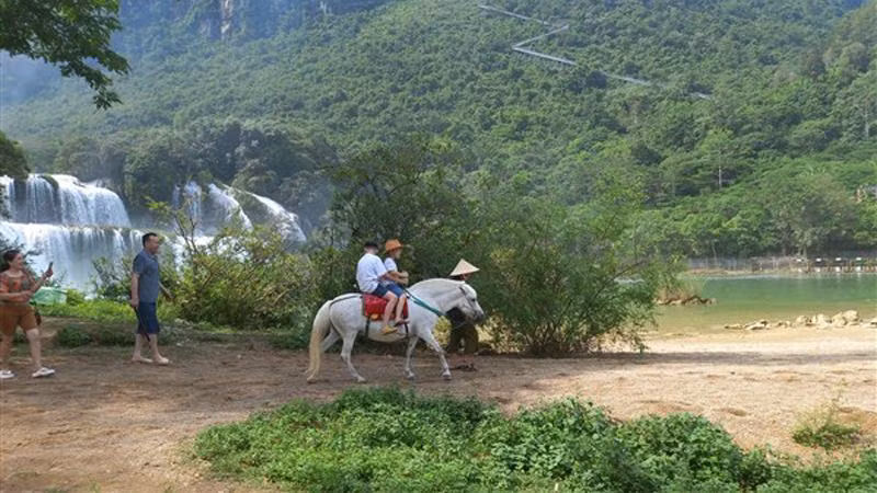 Trải nghiệm cưỡi ngựa, chụp ảnh.