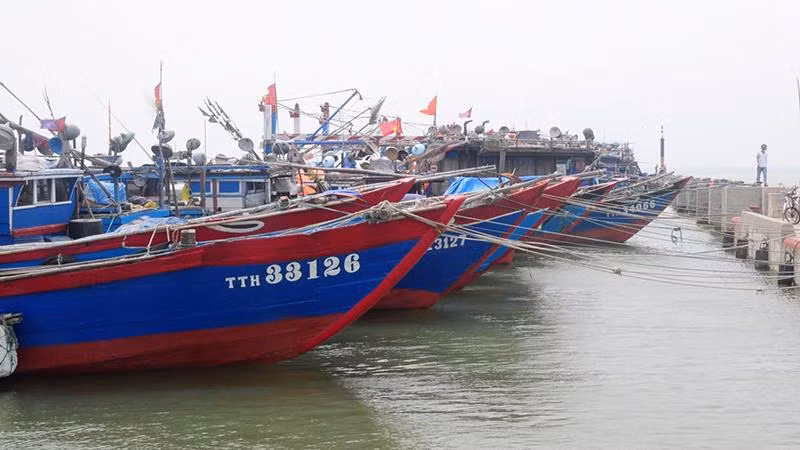 Tàu thuyền tại Thừa Thiên Huế được kêu gọi về nơi trú tránh bão an toàn.