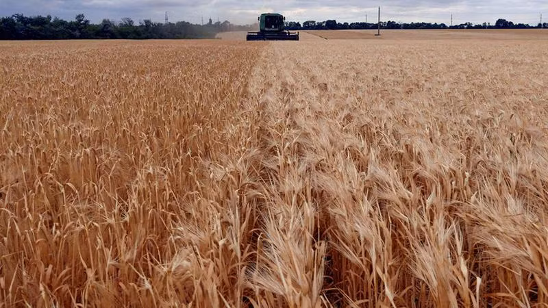 Ảnh minh họa. (Nguồn: Reuters)