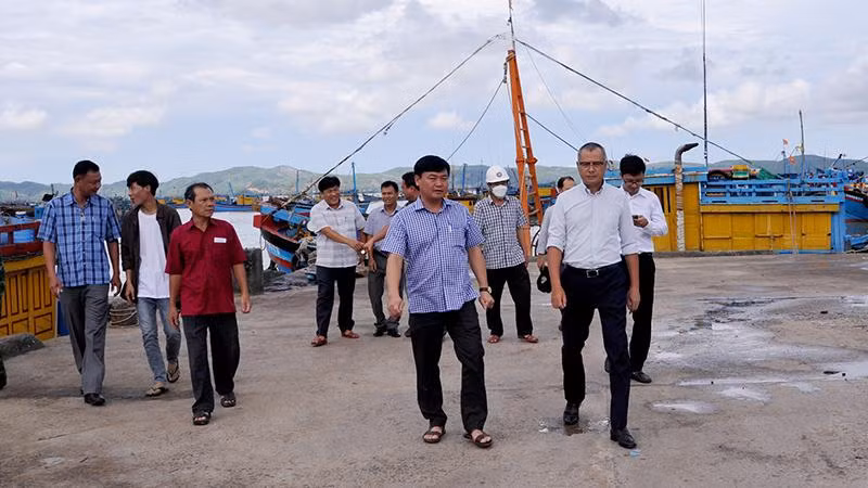 Ủy viên Trung ương Đảng, Bí thư Tỉnh ủy Phú Yên Phạm Đại Dương và đoàn công tác đi kiểm tra tình hình ứng phó bão Noru đối với tàu thuyền và bè nuôi thủy sản ở vịnh Xuân Đài (thị xã Sông Cầu). (Ảnh: ANH NGỌC)
