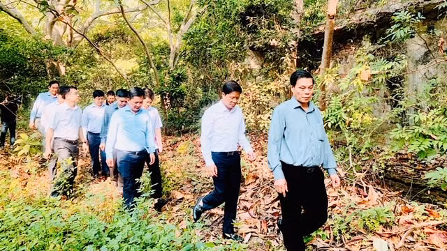 Lãnh đạo thành phố Hải Phòng và các ngành đi thị sát các khu đất hoang hóa trong khu du lịch.