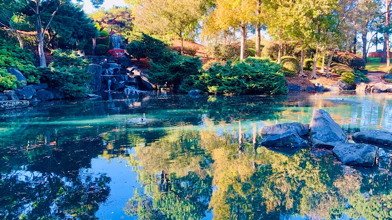 Phong cảnh mùa thu luôn hấp dẫn khách du lịch.