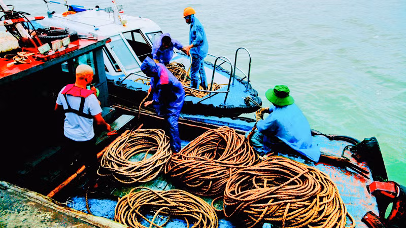 Công nhân thực hiện việc thu hồi cáp điện bị đứt rơi xuống biển.