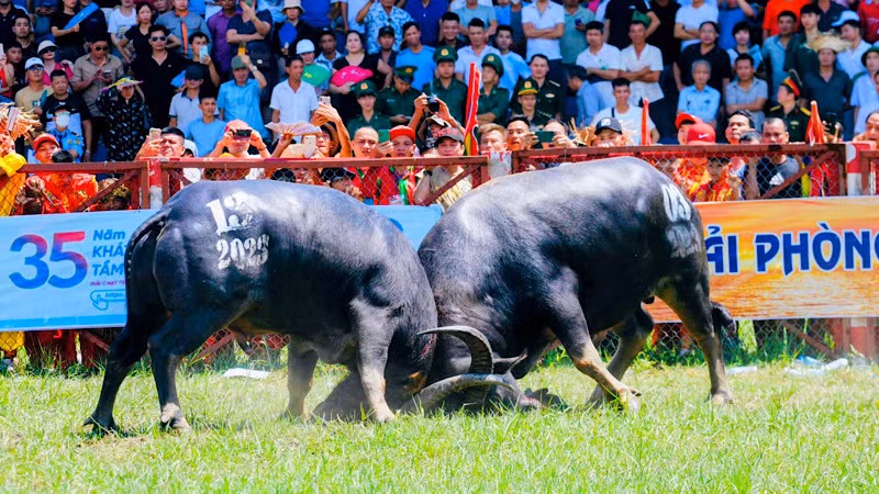 Các kháp đấu tưng bừng và nảy lửa.