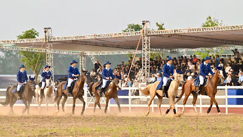 Khai trương Học viện cưỡi ngựa Vinpearl Horse Academy Vũ Yên.