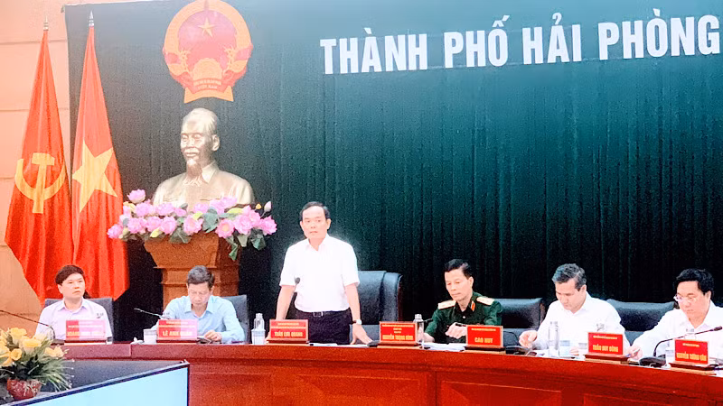 Phó Thủ tướng Trần Lưu Quang phát biểu tại buổi làm việc.