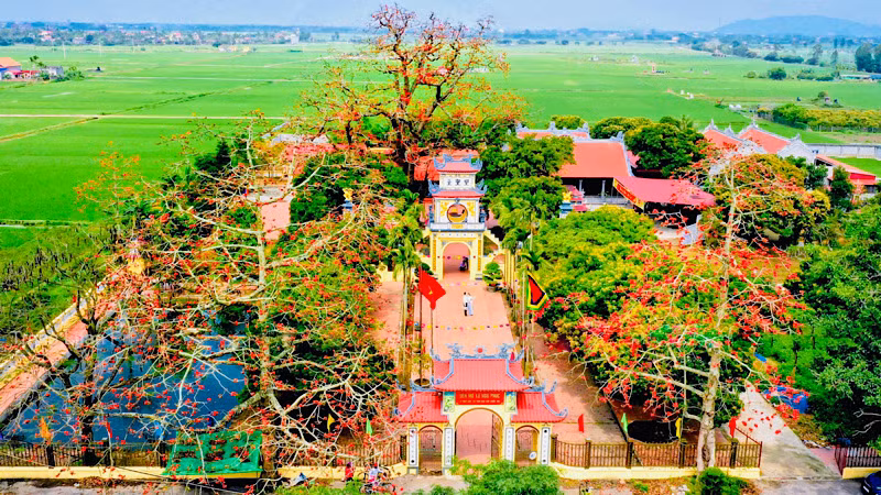 Quần thể di tích đền-chùa Mõ với cây gạo hơn 700 năm tuổi.