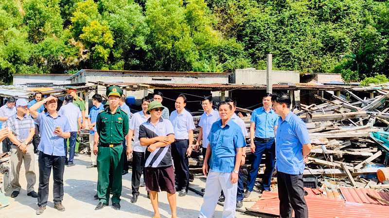 Lãnh đạo thành phố Hải Phòng và các ngành chức năng kiểm tra các cơ sở sử dụng đất nhưng không nộp tiền thuê đất, tiền sử dụng đất.