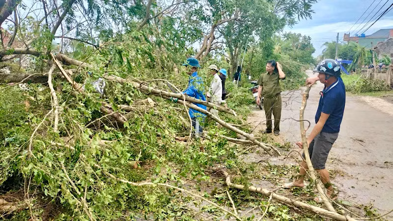 Các tầng lớp nhân dân được huy động để dọn dẹp cây xanh bị gãy đổ sau bão. (Ảnh: Cổng Thông tin điện tử Tiên Lãng)