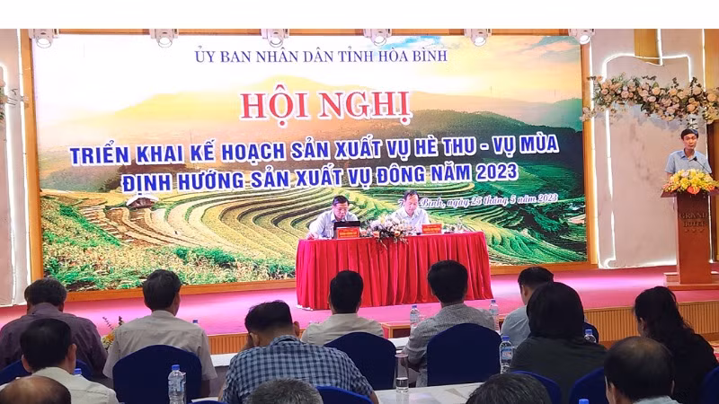 Đông đảo đại biểu các địa phương trong tỉnh tham dự hội nghị.