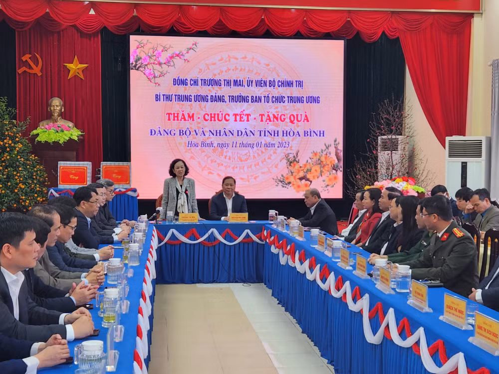 Đồng chí Trương Thị Mai phát biểu tại buổi làm việc.