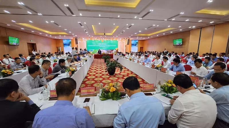 Các đại biểu tham dự Hội nghị.